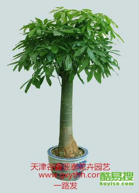 探索天津西青酷易搜 便捷高效的租賃服務(wù)新選擇